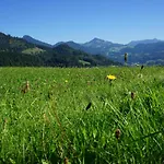 Zur Post Hotell Rohrdorf (Bavaria)